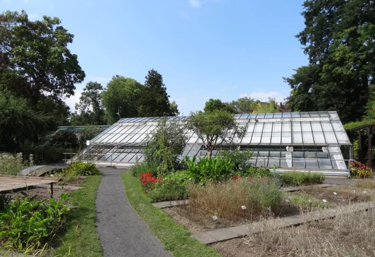 in Hamborn Botanical Garden, Duisburg, Germany, Germany
